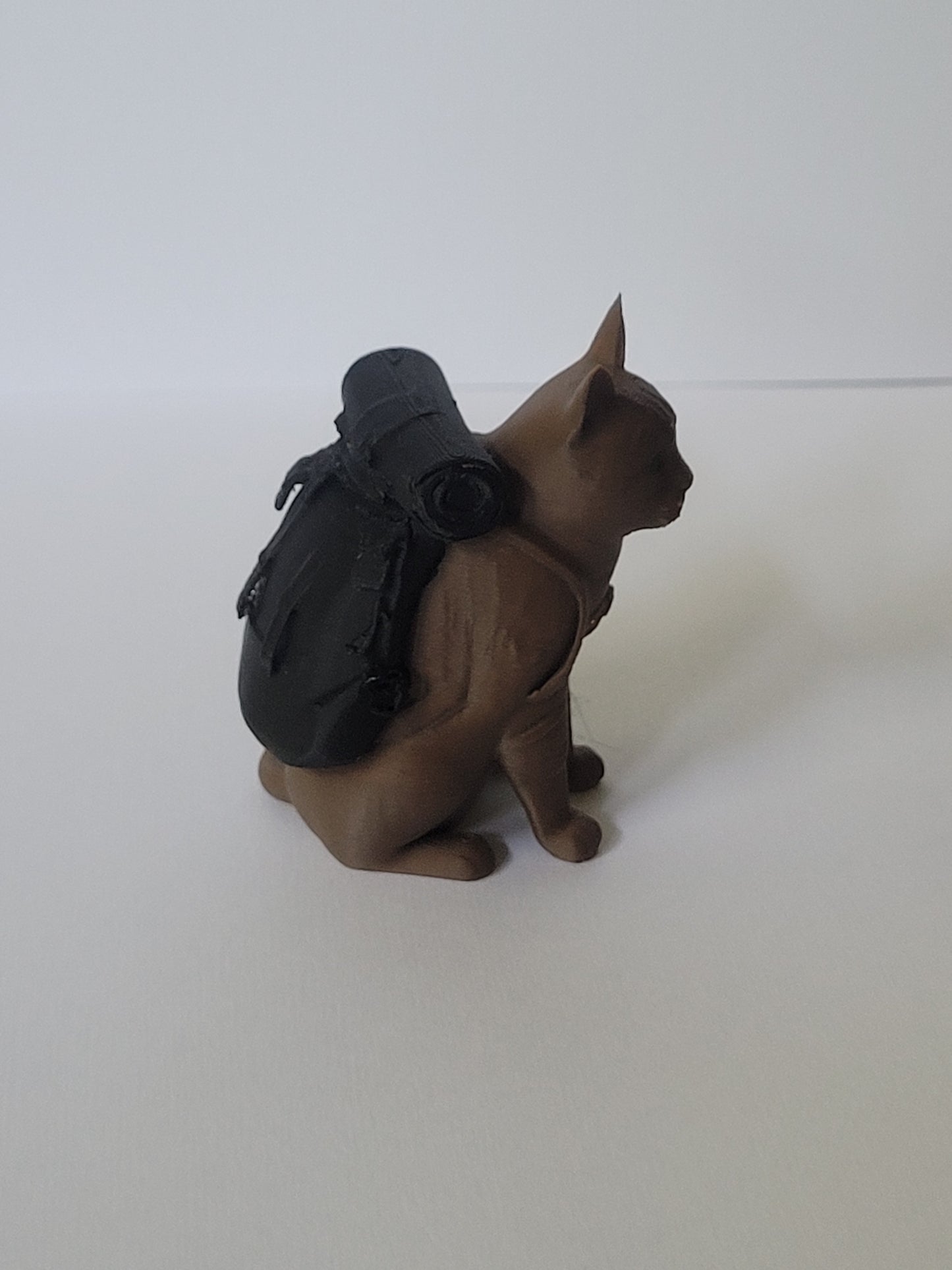 Meander the Backpacking Cat