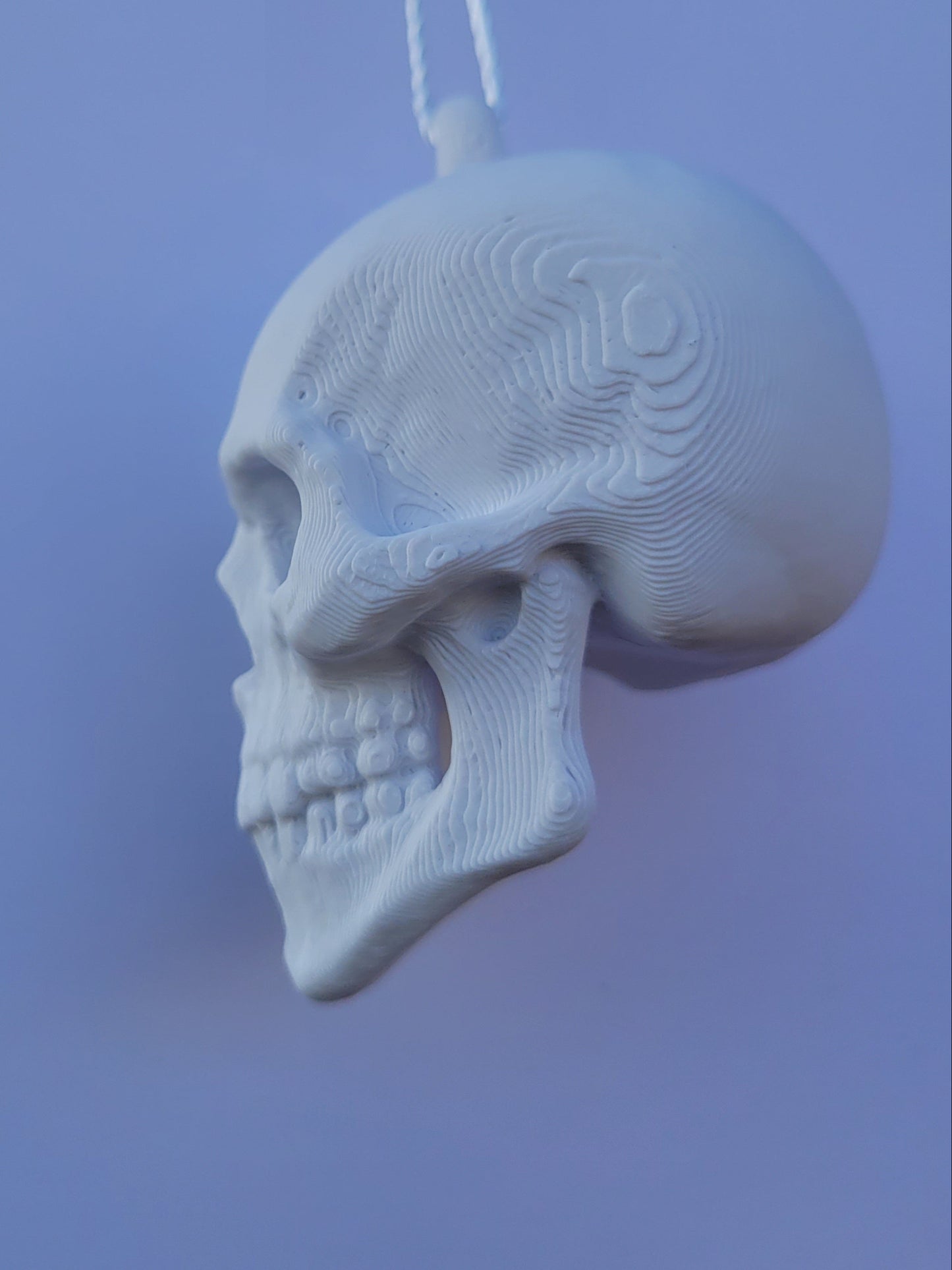 Hanging Skulls