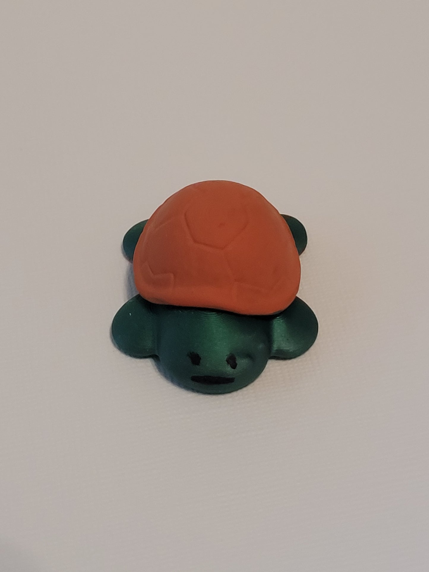 Fall Turtles