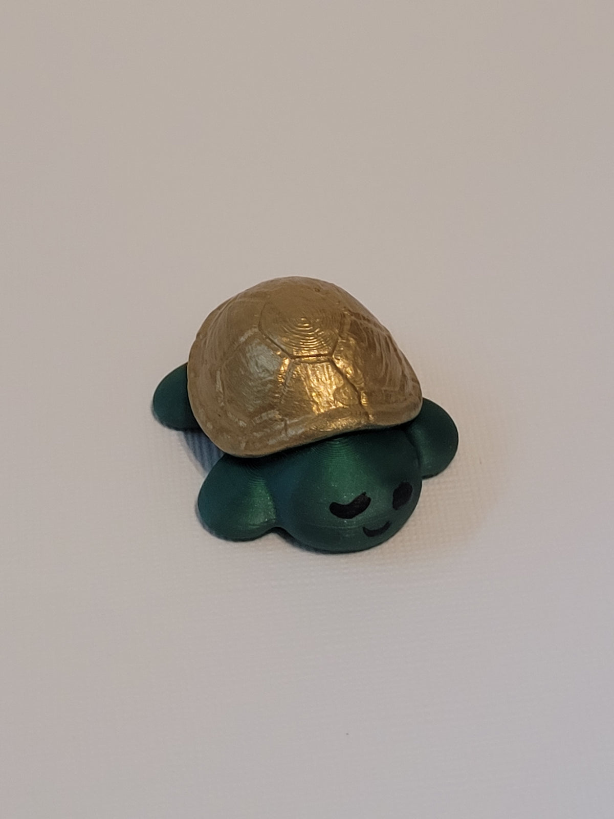 Fall Turtles